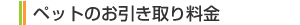 ybĝ藿